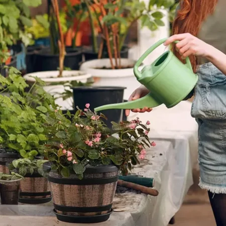 Vintage Barrel Planter