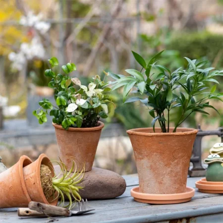 Red Clay Rustic Planter