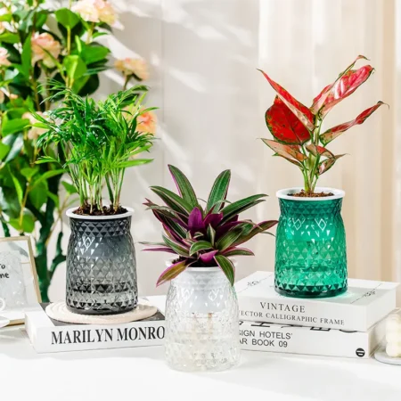 Self-Watering Orchid Plastic Planter