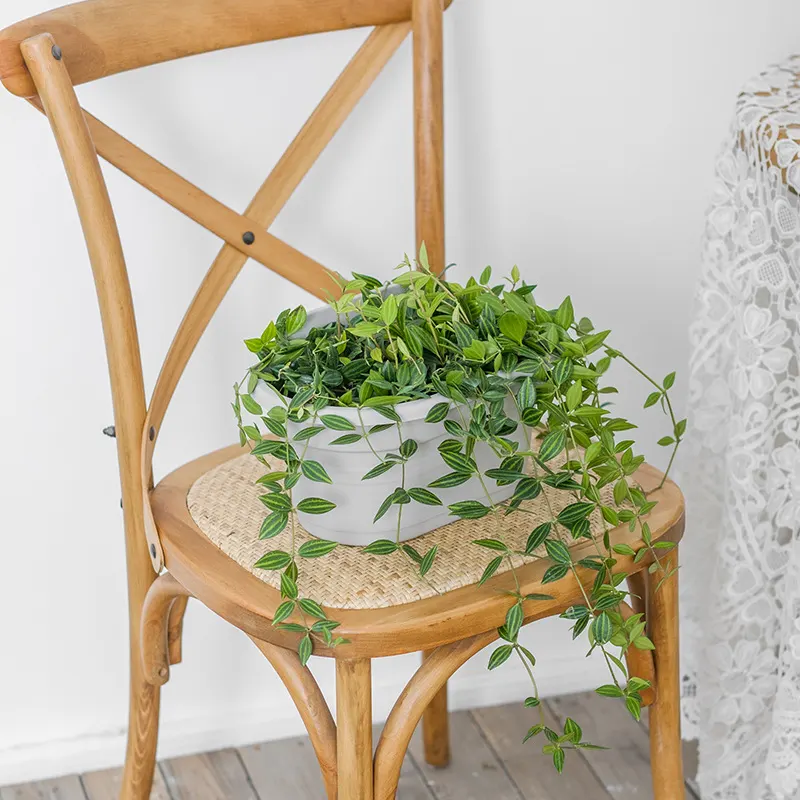 Wall-Mounted Hanging Planter - Image 3